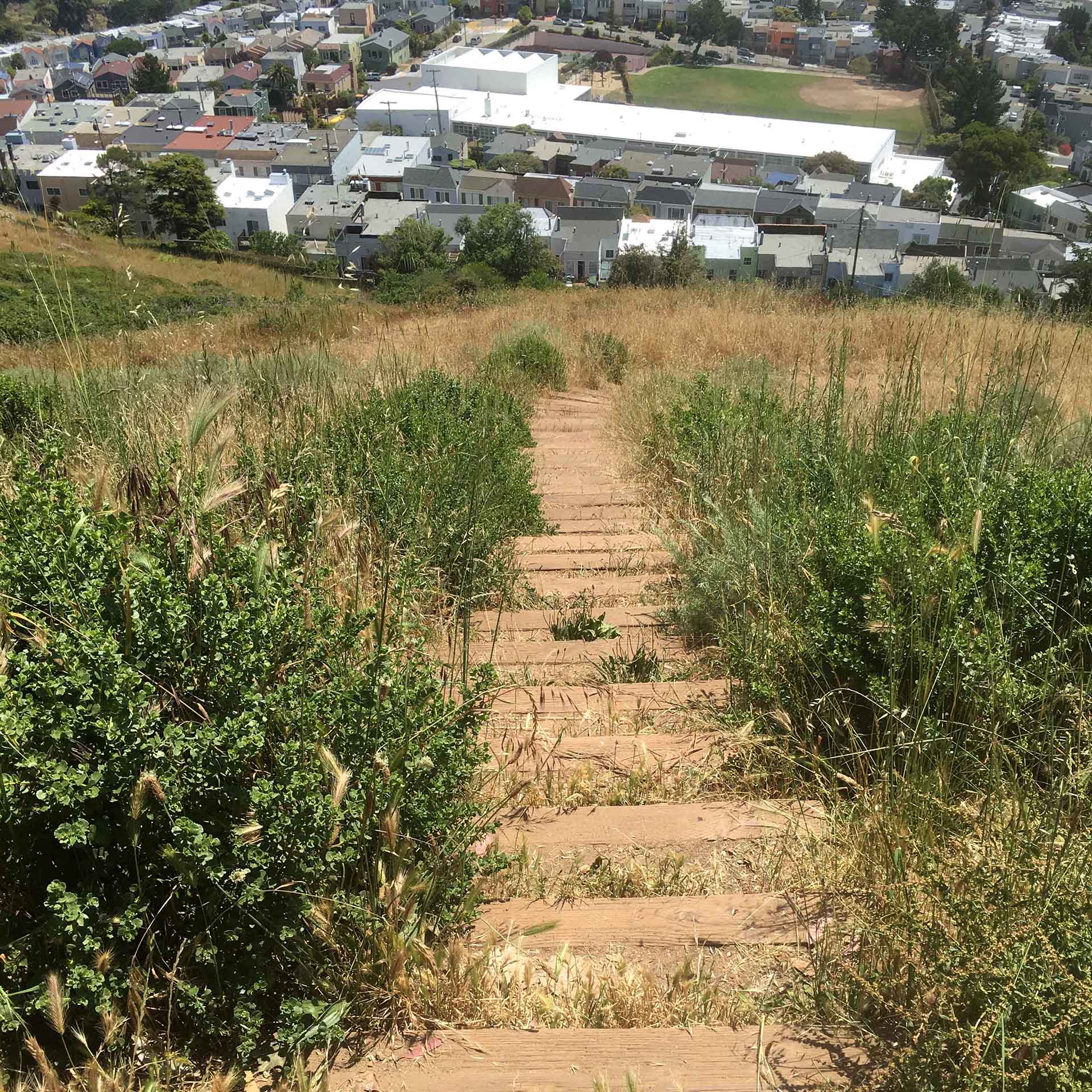 Photographs from Mount Davidson 3